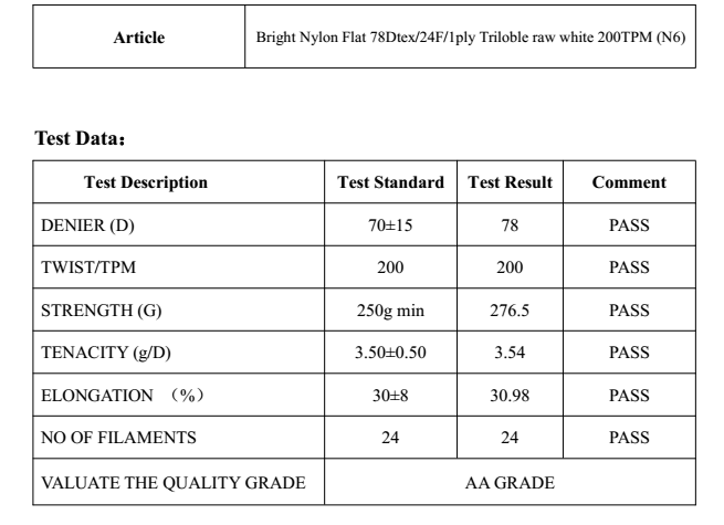 Bright Nylon Flat twisted yarn