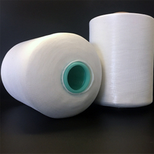 Precision Spun Nylon Twisted FDY Yarn 