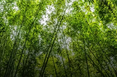 Eco-Friendly Yarn Solutions for a Sustainable Textile Future