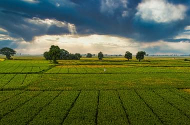 How We Can Assist You in Achieving Substantial Cost Savings？