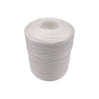Nylon 6 Sewing Thread