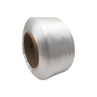 High Tenacity Nylon 66 FDY Yarn