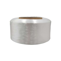 High Tenacity Nylon 6 FDY Yarn